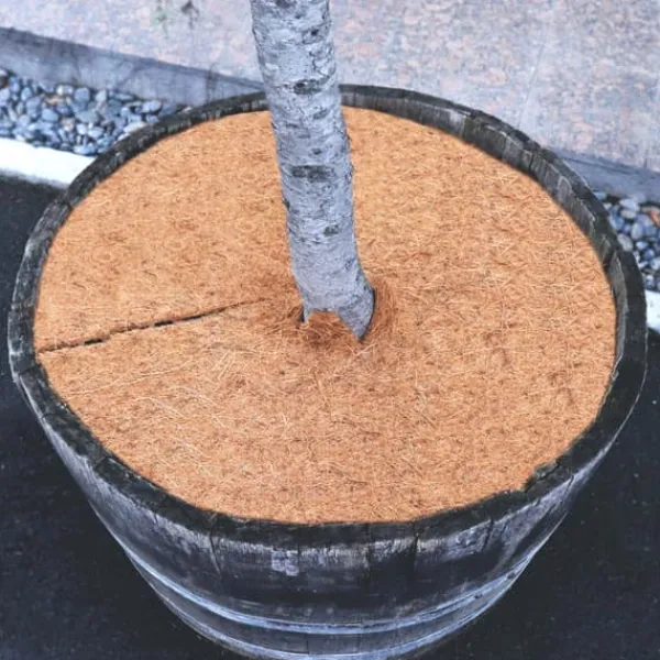 1 Coconut Mulching disc 30 cm Kokosfibermatta Kokosfiber Växtskyddsmatta Kokosnöt