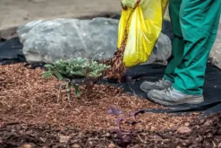 60 m² Trädgårdsfleece Ogräsbekämpningstyg Ogräsfoder Mulchfoder Mulchtyg 150 g/m² 1 m w. Markduk & Fiberduk