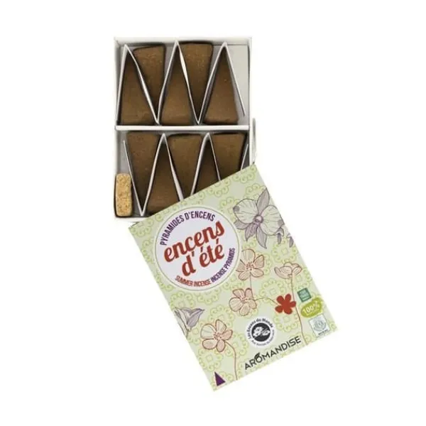 Discount 100 pyramider av myggavvisande rökelse 30 min Insektsmedel & Djuravvisande Medel