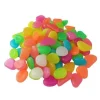 Sale 300 st Glow in the Dark Lysande stenar Trädgårdsvägar Växtgårdsdekor Småsten ArtObjekt Dekorativ XPJ503 Trädgårdsstenar & Klivstenar