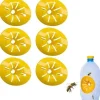 6 st Piege Frelon, Micro Guepe, Piège à Frelon, Piège De Guêpe Fångare D'abeilles Insektsfångare i Plast Piège À Guêpe Fångare