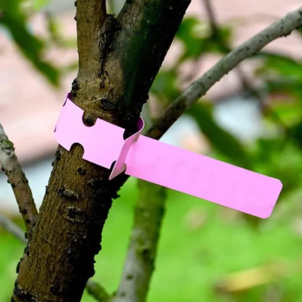 Outlet 300 st växtetiketter växtträdetiketter utomhus vattentät plastfolie hängande plantskola trädgård trädgårdsetiketter pålemarkörer återanvändbara Trädgårdsväxter