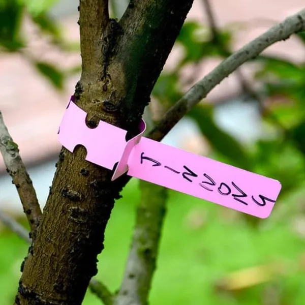 Outlet 300 st växtetiketter växtträdetiketter utomhus vattentät plastfolie hängande plantskola trädgård trädgårdsetiketter pålemarkörer återanvändbara Trädgårdsväxter