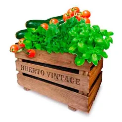 Clearance Agreen Urban Trädgård Vintage Eco Guld Kit För Växt- & Örtplantering