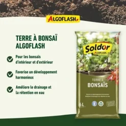 ALGOFLASH - Bonsaijord 6 L Jord & Sand