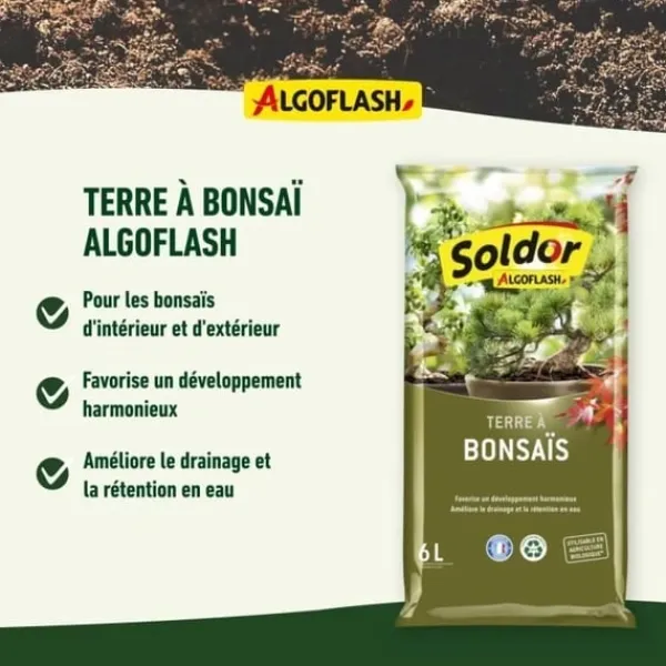 ALGOFLASH - Bonsaijord 6 L Jord & Sand
