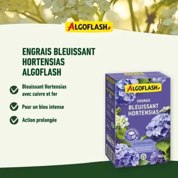 Online ALGOFLASH NATURASOL NATURASOL Blått gödsel för hortensior - Långvarig effekt 800g Gödningsmedel