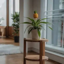 Sale Ananasväxt - Set om 2 - Ananas comosus 'Mi Amigo' - Höjd 35-45cm - ⌀12cm Krukväxter Inomhus