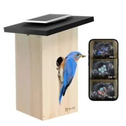 Ansluten Matare - Birdfy Ebony Lite - HD 1080P Kamera - Solpanel - AI för Fågelidentifiering