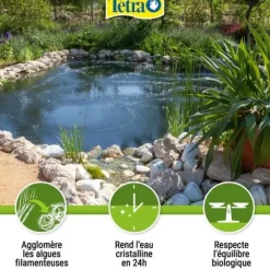 Clearance Anti-alger för trädgårdsdammar - Tetra Pond Algorem - 250 ml Fontäner & Dammar