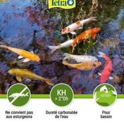 Clearance Anti-alger för trädgårdsdammar - Tetra Pond Algorem - 250 ml Fontäner & Dammar