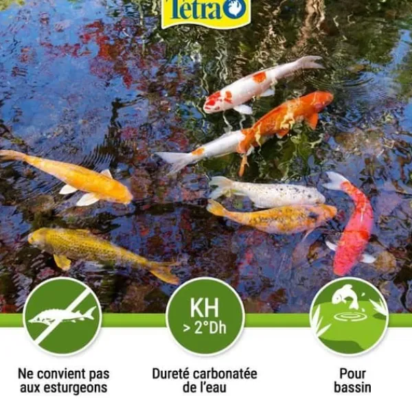 Clearance Anti-alger för trädgårdsdammar - Tetra Pond Algorem - 250 ml Fontäner & Dammar