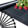 Outlet Antirotduk - Agrotextil - 1,1 x 50 m - 50 slipade stift Markduk & Fiberduk