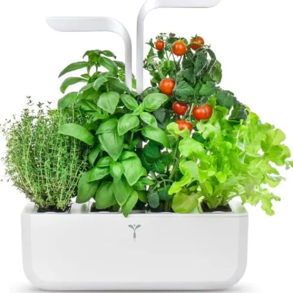 Automatisk kruka - ÄKTA - KLASSISK - Vit - 45 cm x 33 cm - 4 såddar Kit För Växt- & Örtplantering