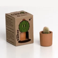 Hot BABY Kaktus Kit För Växt- & Örtplantering