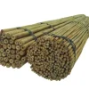 Bambupålar, bambustänger 120 cm 6/8 mm /100 st/ Krukor & Växtbehållare