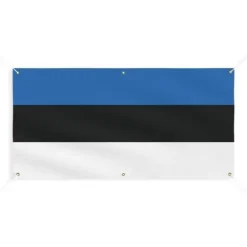 Hot Banner Flag of Estonia 6 öljetter 70x140cm i polyester Flaggor & Vindstrutar