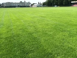 Barenbrug Emerald Grass för torra områden vatten 1kg