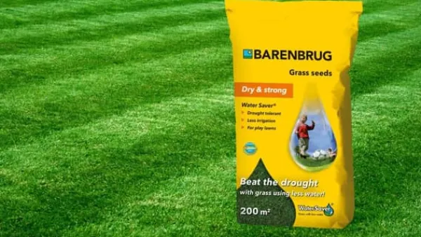 Barenbrug VATTENSPARANDE gräs 5 kg FÖR TORRA OMRÅDEN BELAGADE FRÖN