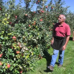 New Berry Foderpåse Multipurpose Slitstark Nylon Frukt Foraging förvaringsväska med spänne Trädgårdskorgar