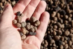 BIOVITA GARDENING EXPANDERAD LERA idealisk för dränering 8-16MM 2L