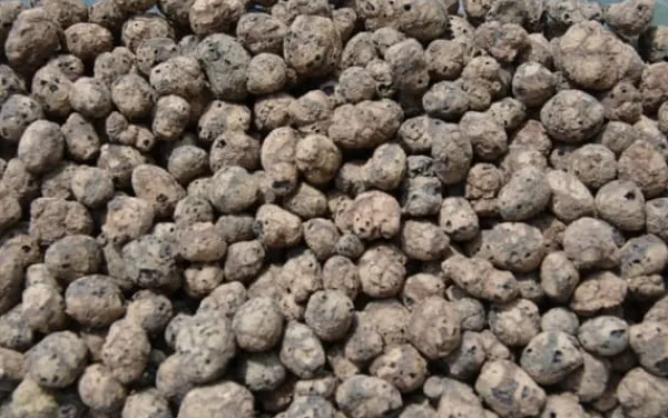 BIOVITA GARDENING EXPANDED GRAPE idealisk för dränering 8-16MM 18L