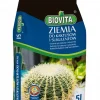 BIOVITA JORD FÖR KAKTUSAR OCH SUCCULENTER 5L