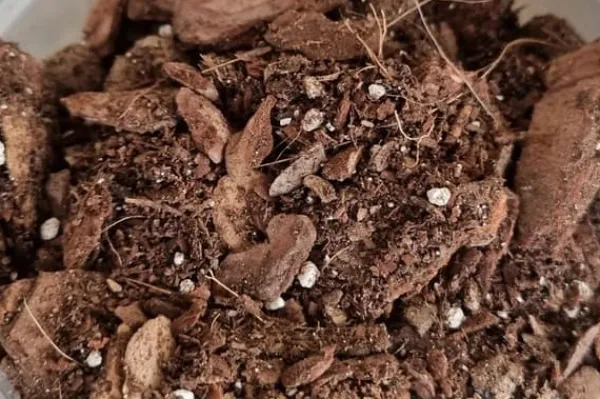 BIOVITA ORKIDÉSUBSTRAT 3L