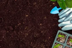 BIOVITA SURT TORV för blåbär och syraälskande växter pH 3,5-4,5 80L