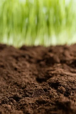 Outlet BIOVITA SURT TORVSUBSTAT för blåbär och sura växter 5L Jord & Sand