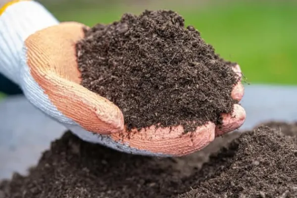 BIOVITA UNIVERSAL BLOMSTERJORD 5 LITER MED GÖDSEL