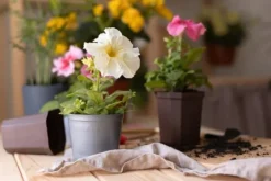 BIOVITA UNIVERSAL BLOMSTERJORD 20 LITER MED GÖDSEL Jord & Sand
