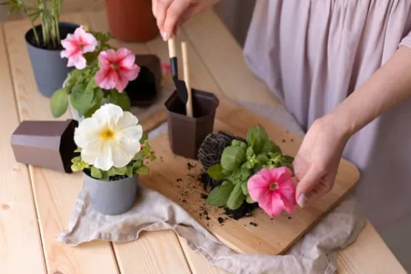 BIOVITA UNIVERSAL BLOMSTERJORD 20 LITER MED GÖDSEL Jord & Sand