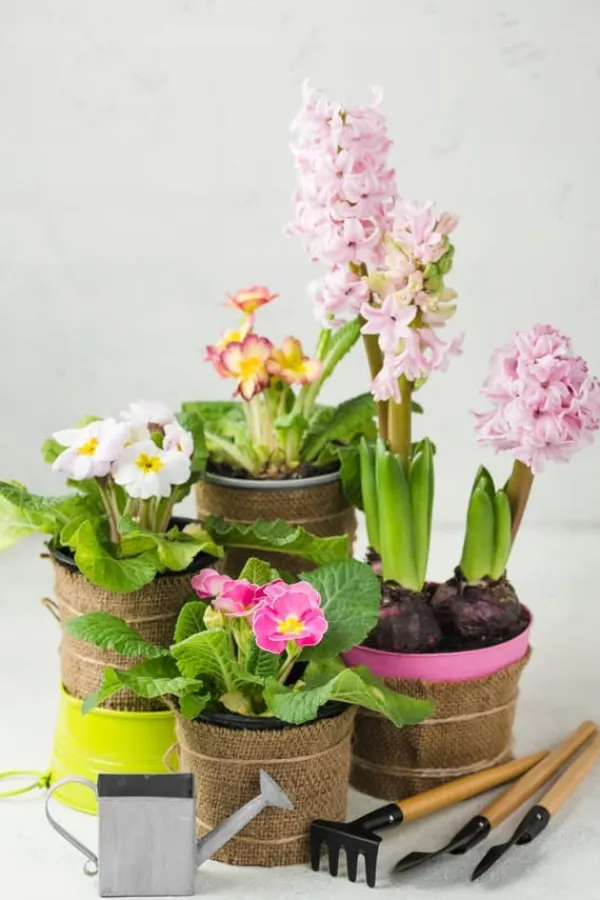 BIOVITA UNIVERSAL BLOMSTERJORD 20 LITER MED GÖDSEL Jord & Sand