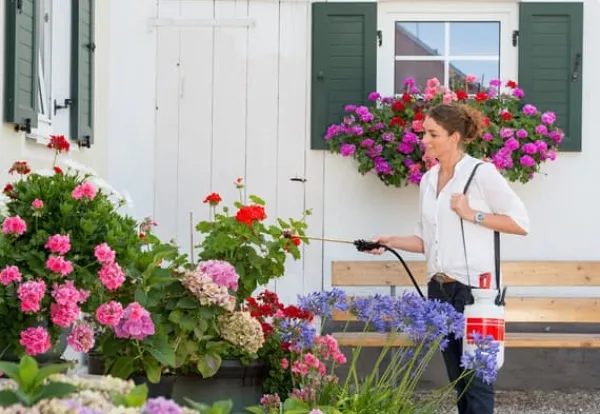 Discount Birchmeier Tryckspruta - Garden Star 3 Trädgårdsverktyg