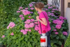 Discount Birchmeier Tryckspruta - Garden Star 3 Trädgårdsverktyg