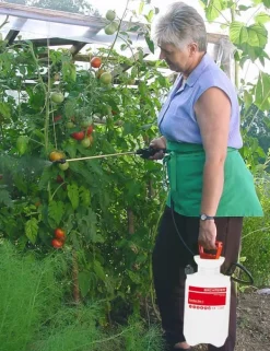 Discount Birchmeier Tryckspruta - Garden Star 3 Trädgårdsverktyg
