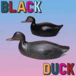 Black Duck - Black Duck (CD) För Fåglar & Småvilt