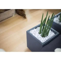 Best Blomkruka Fyrkantig 40 cm - EDA - Grafit - 31 L - 39 x 39 x H. 43 cm - Grå Antracit Krukor & Växtbehållare