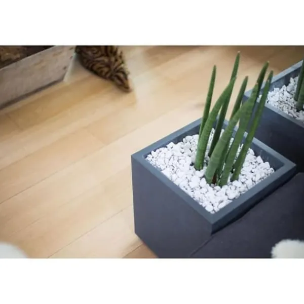 Best Blomkruka Fyrkantig 40 cm - EDA - Grafit - 31 L - 39 x 39 x H. 43 cm - Grå Antracit Krukor & Växtbehållare