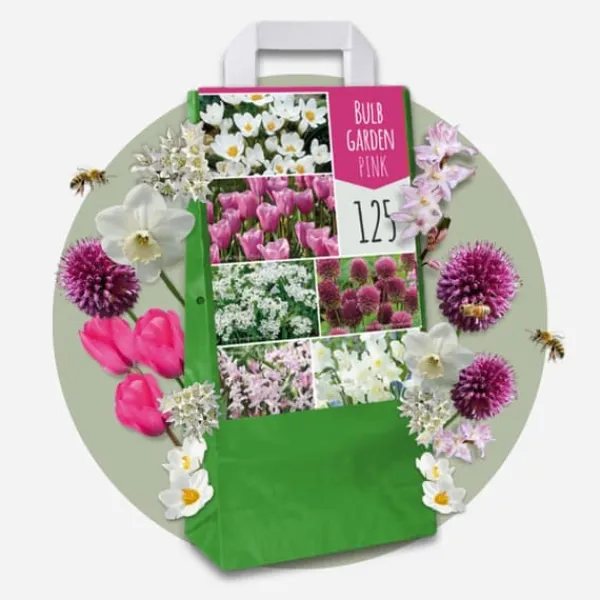 Discount Blomlökpaket - Set om 250 - Allium, Narcissus, Muscari - Blomlökar - Purpur Fröer & Lökar