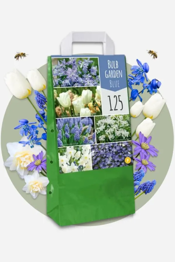 Outlet Blomlökpaket - Set om 250 - Allium, Narcissus, Tulipa och mer - Blomlökar - Blå Fröer & Lökar