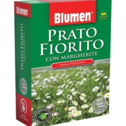 Discount Blomsteräng med prästkragar 500GR BLUMEN Fröer & Lökar