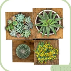 Online Blomställning, hylla för blommor, växter, krukor, fristående, 4 hyllor, loft Växtställ