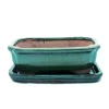 bol bonsai med fat storlek 2 - grön - fyrkantig - modell g12 - l 15,5cm - b 11,5cm - h 4,5cm