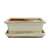 bol bonsai med fat storlek 3 - ljusbeige - fyrkantig - modell g29 - l 18cm - b 13cm - h 6cm