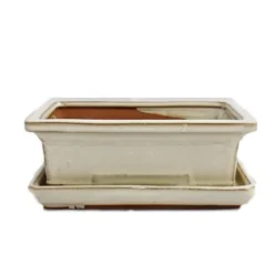 bol bonsai med fat storlek 3 - ljusbeige - fyrkantig - modell g29 - l 18cm - b 13cm - h 6cm