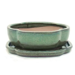 Online bonsai skål med fat storlek 2 - olivbrun - haitang/oval - modell i5 - l 14,5 cm - b 12,5 cm - h 5 cm Krukor & Växtbehållare