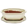 bonsai skål med fat storlek 4 - haitang i4 - ljus beige - l 26cm - b 20,5cm - h 8,5cm