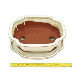 bonsai skål med fat storlek 4 - haitang i4 - ljus beige - l 26cm - b 20,5cm - h 8,5cm